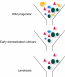 The Origins Of Crop Plants History And Science Of Cultivated Plants