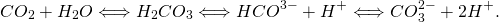 \begin{equation*} \ce{CO_2 + H_2O \Longleftrightarrow H_2CO_3 \Longleftrightarrow HCO^{3-} + H^+ \Longleftrightarrow CO_3^{2-} + 2H^+.} \end{equation*}