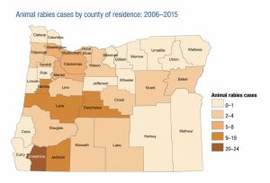 Animal rabies cases vary by county of residence