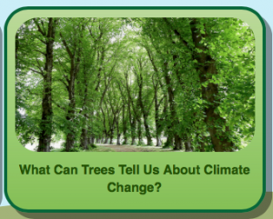 V. Considering the Evidence for Global Climate Change – Exploring ...