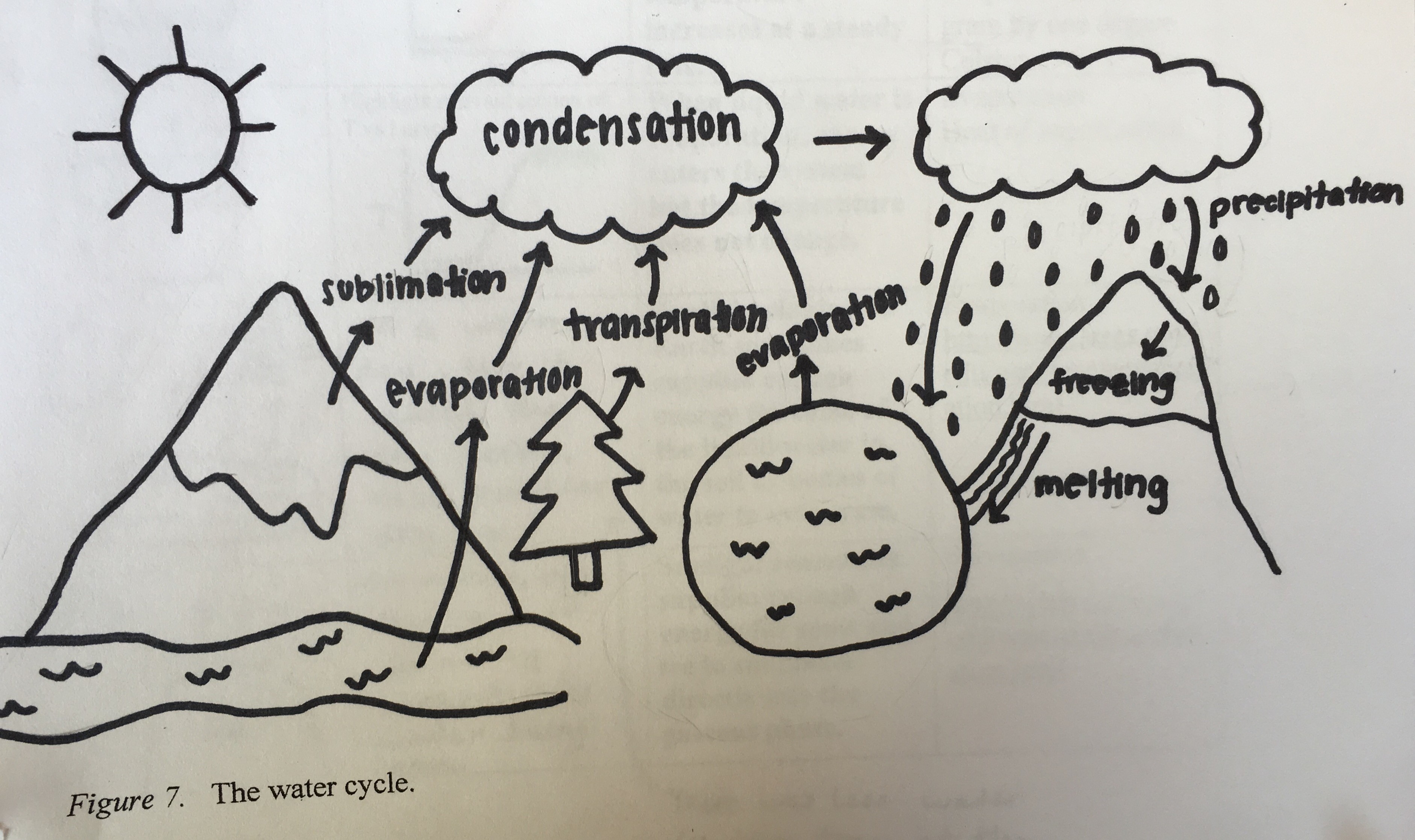 Example student’s diagram of the water cycle.
