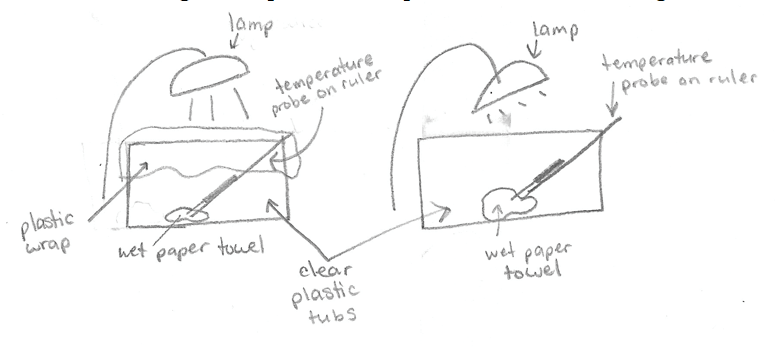 Draw a well labelled diagram to explain the Greenhouse | KnowledgeBoat