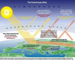 IV. Using Central Ideas about Light and Thermal Phenomena to Explain ...