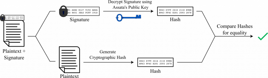 crypto error sighaxed firm