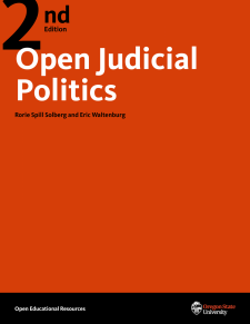Open Judicial Politics book cover