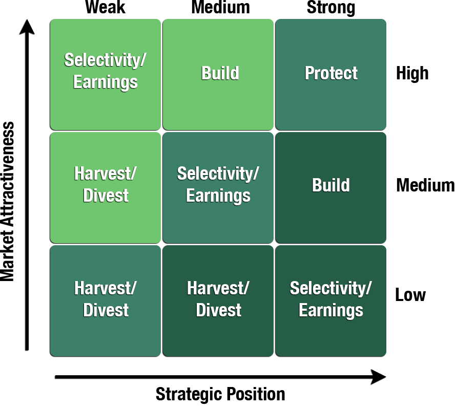 GE Portfolio Planning Matrix