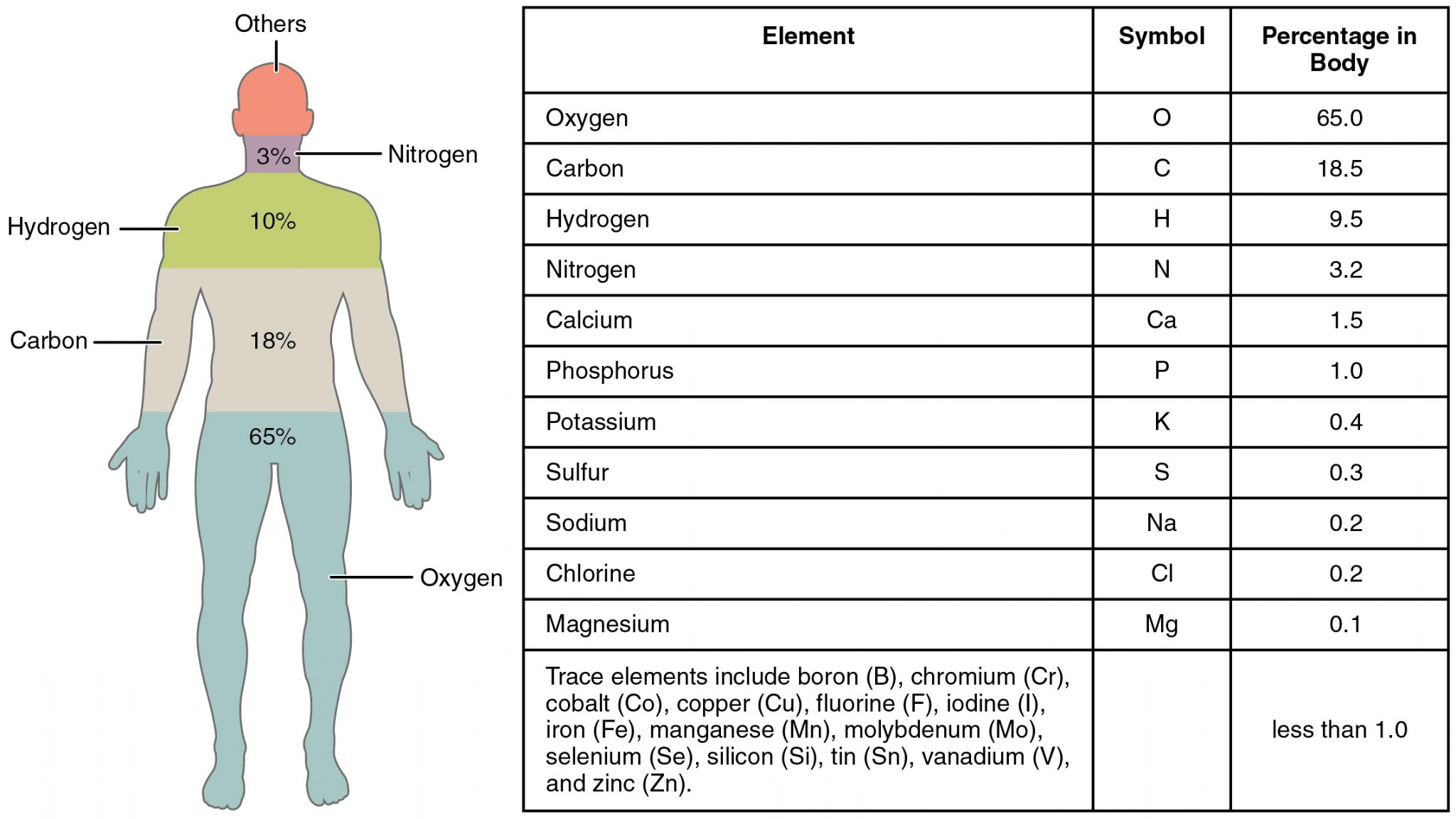201 Elements Of The Human Body 01 2048x1152 