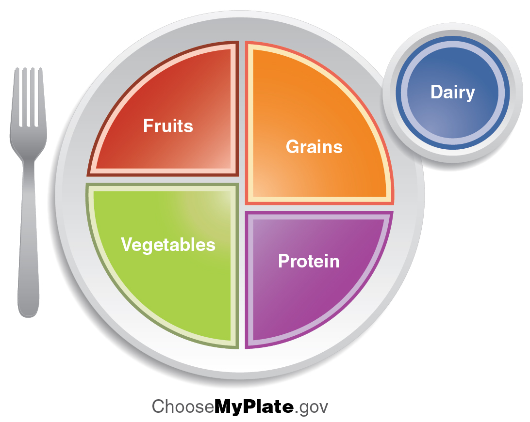 The figure shows a plate with different food groups assigned different portion sizes.
