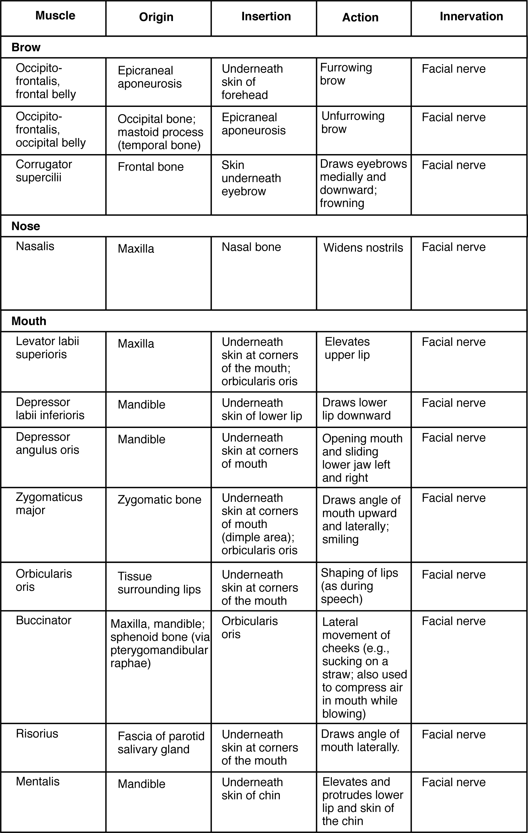 11.5 Axial muscles of the abdominal wall and thorax – Anatomy