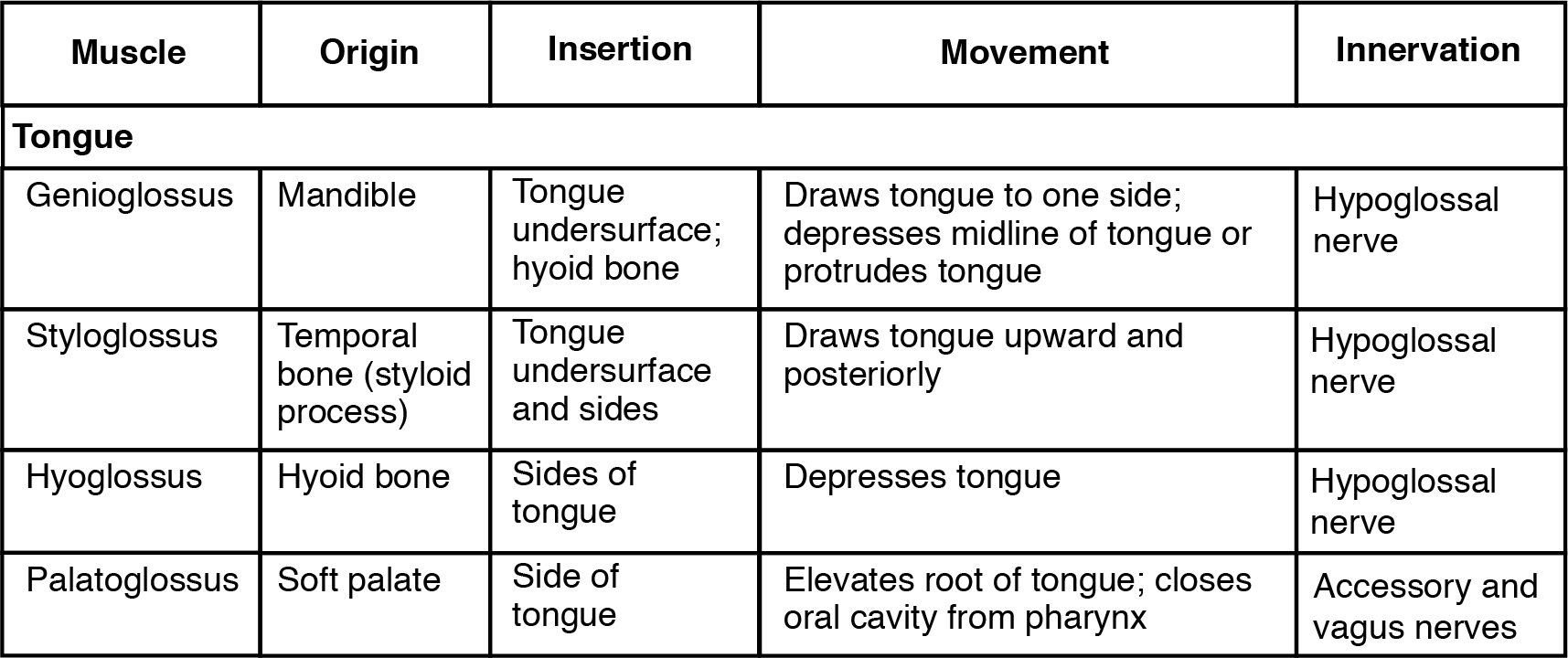 This table describes the muscles used in tongue movement, swallowing, and speech. The genioglossus moves the tongue down and sticks the tongue out of the mouth. It originates in the mandible. The styloglossus moves the tongue up and retracts the tongue back into the mouth. It originates in the temporal bone. The hyoglossus flattens the tongue. It originates in the hyoid bone. The palatoglossus bulges the tongue. It originates in the soft palate. The digastric raises the hyoid bone in a way that also raises the larynx, allowing the epiglottis to cover the glottis during deglutition; it also assists in opening the mouth by depressing the mandible. It originates in the mandible and temporal bone. The stylohyoid raises and retracts the hyoid bone in a way that elongates the oral cavity during deglutition. It originates in the temporal bone. The mylohyoid raises the hyoid bone in a way that presses the tongue against the roof of the mouth, pushing food back into the pharynx during deglutition. It originates in the mandible. The geniohyoid raises and moves the hyoid bone forward, widening the pharynx during deglutition. It originates in the mandible. The ornohyoid retracts the hyoid bone and moves it down during later phases of deglutition. It originates in the scapula. The sternohyoid depresses the hyoid bone during swallowing and speaking. It originates in the clavicle. The thyrohyoid shrinks the distance between thyroid cartilage and the hyoid bone, allowing production of high-pitch vocalizations. It originates in the hyroid cartilage. The sternothyroid depresses the larynx, thyroid cartilage, and hyoid bone to create different vocal tones. It originates in the sternum. The sternocleidomastoid and semispinalis capitis rotate and tilt the head to the side and forward. They originate in the sternum and clavicle. The splenius capitis and longissimus capitis rotate and tilt the head to the side and backwards.