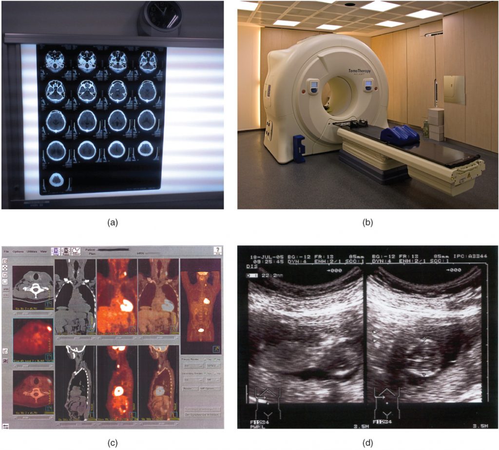 1.5 Medical Imaging – Anatomy & Physiology