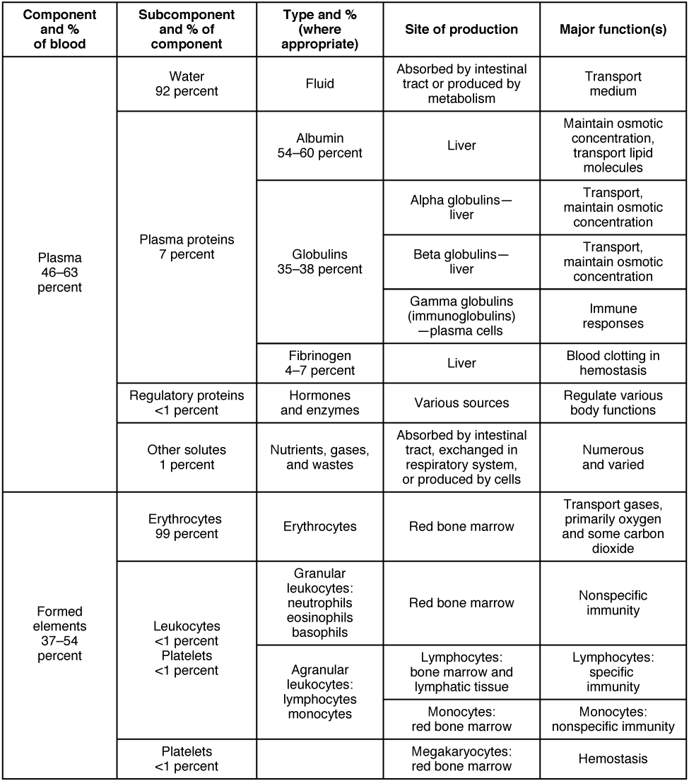 Blood – Basic Human Physiology