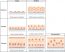 4.2 Epithelial Tissue – Anatomy & Physiology