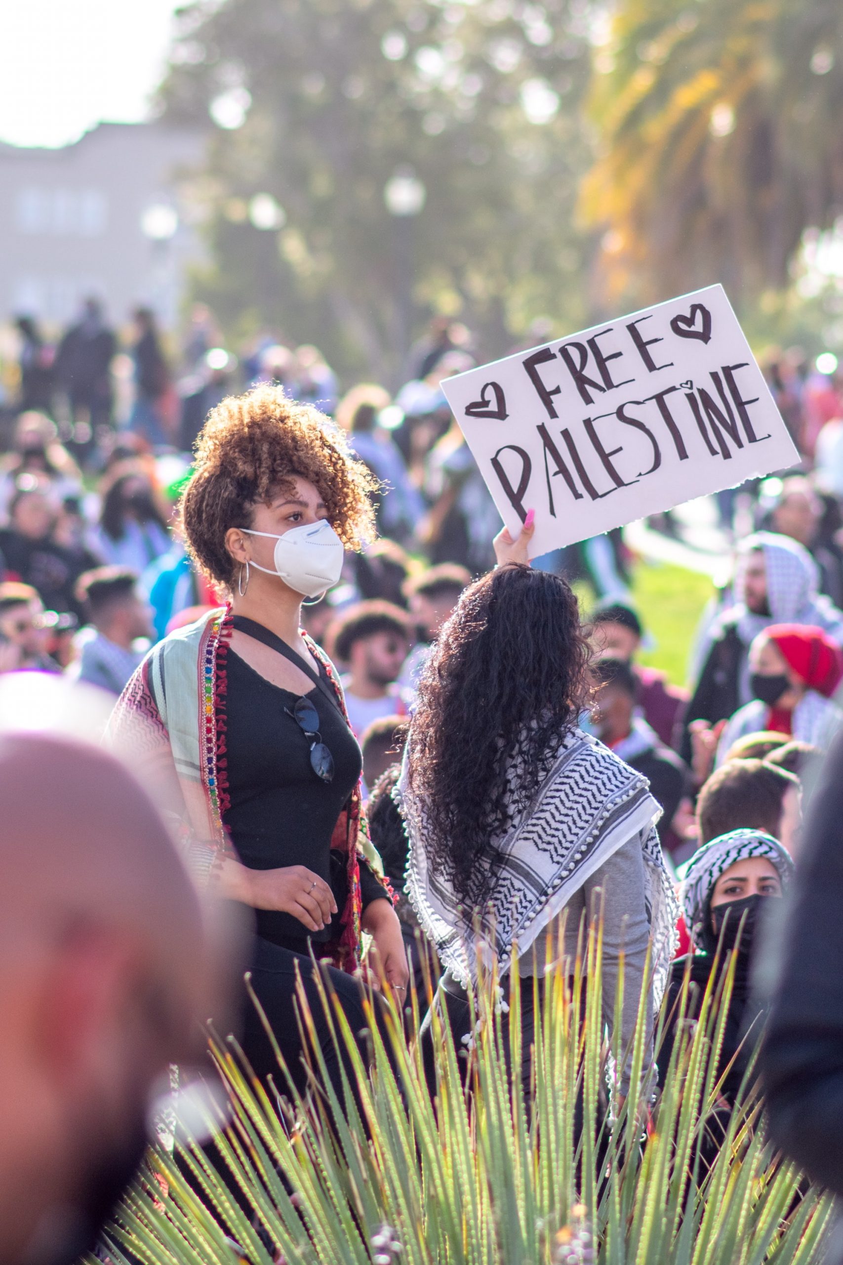 woman holding sign that reads 'Free Palestine' (link to file)