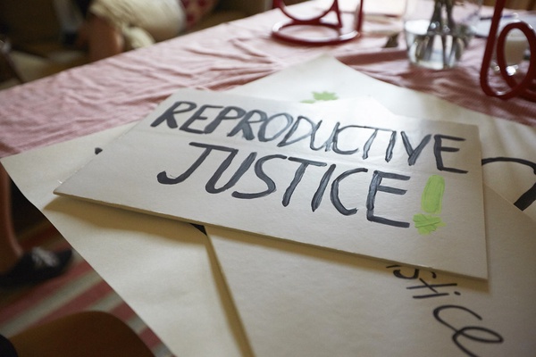 sign that reads 'Reproductive justice' (link to file)