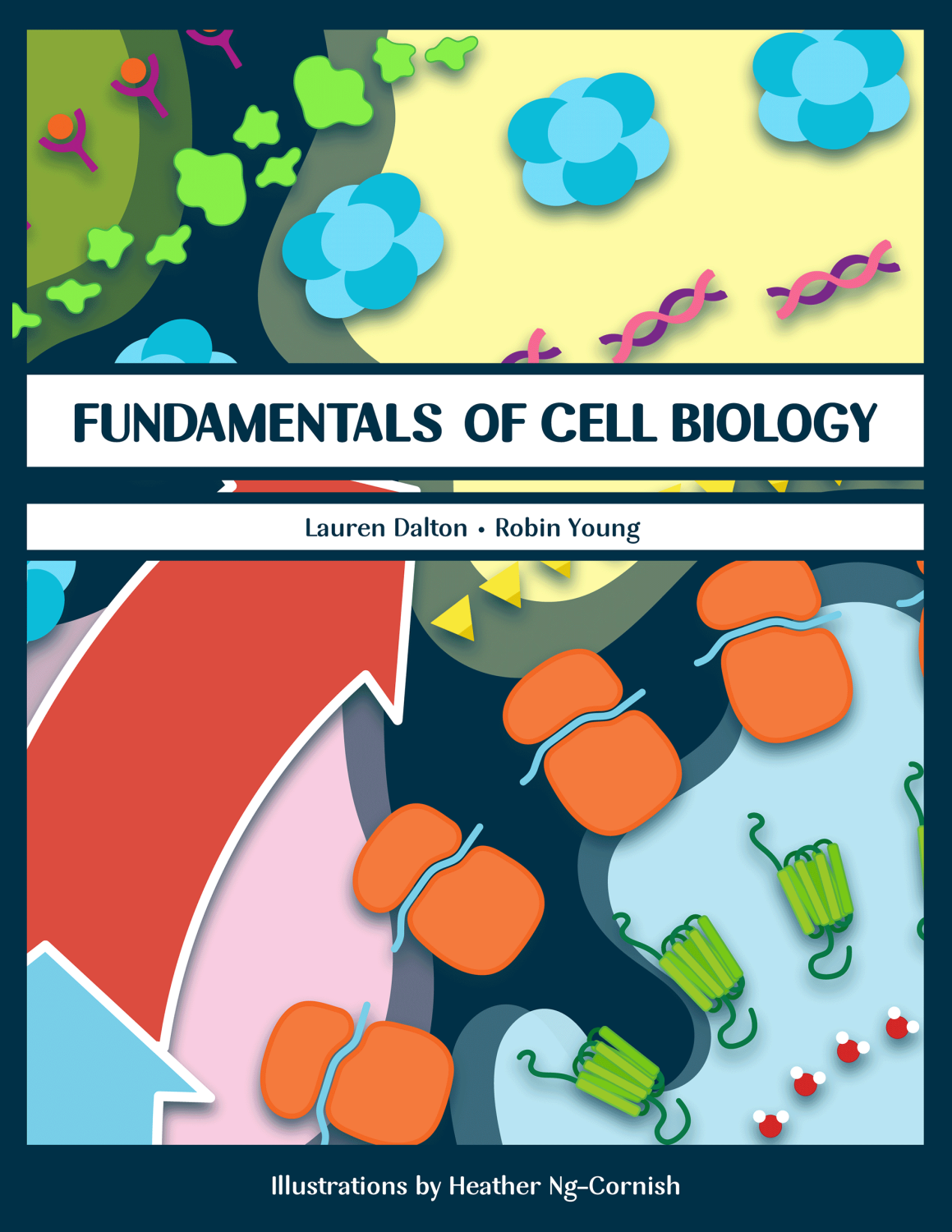 Cover image for Fundamentals of Cell Biology