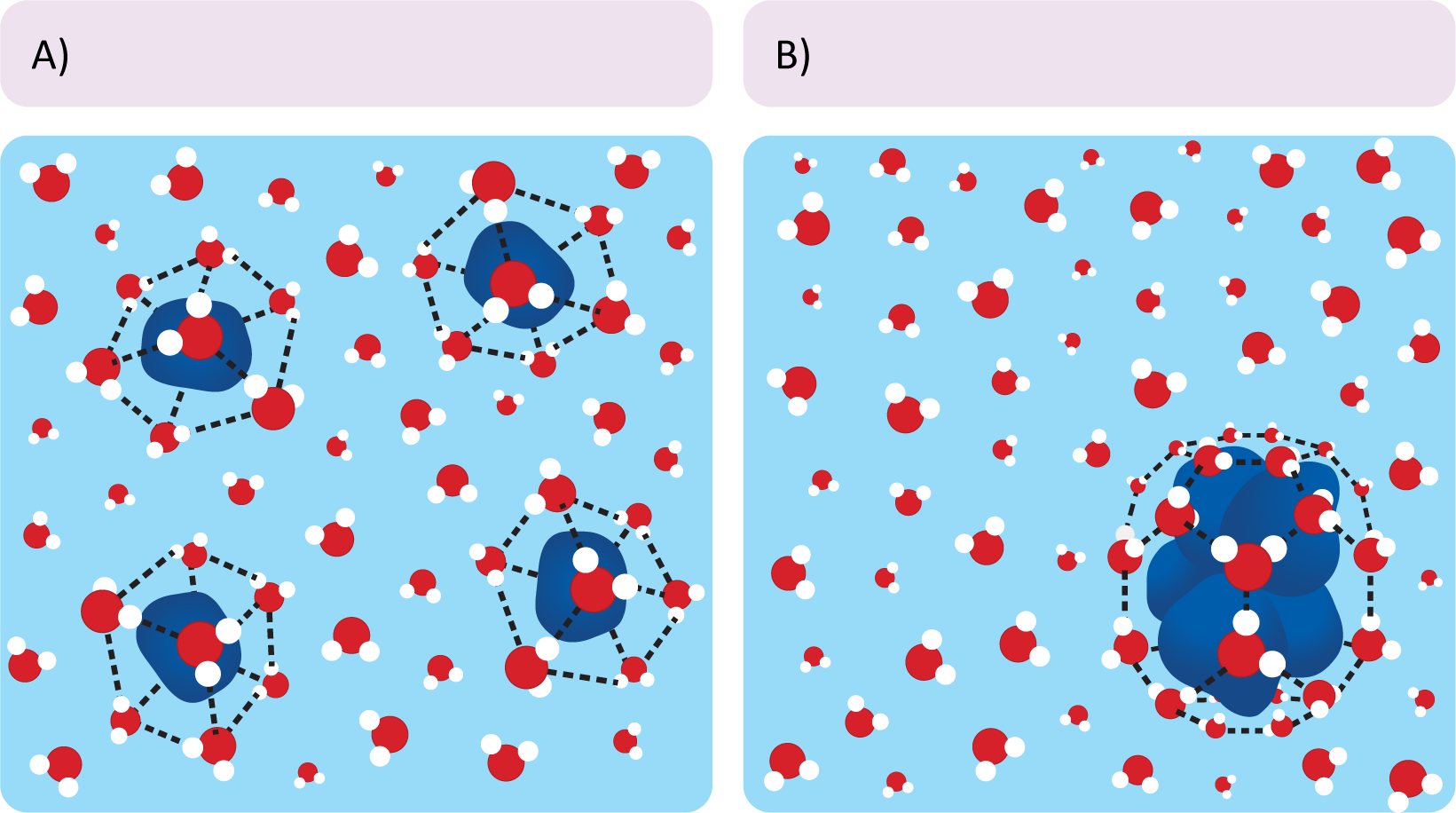 Depiction of hydrophobic molecules clumping together in an aqueous environment.