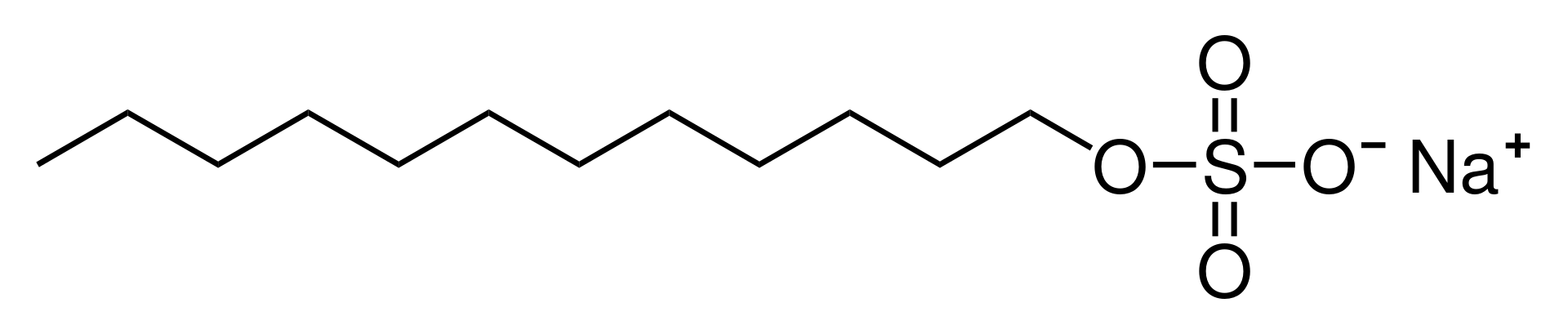 Chemical structure of SDS