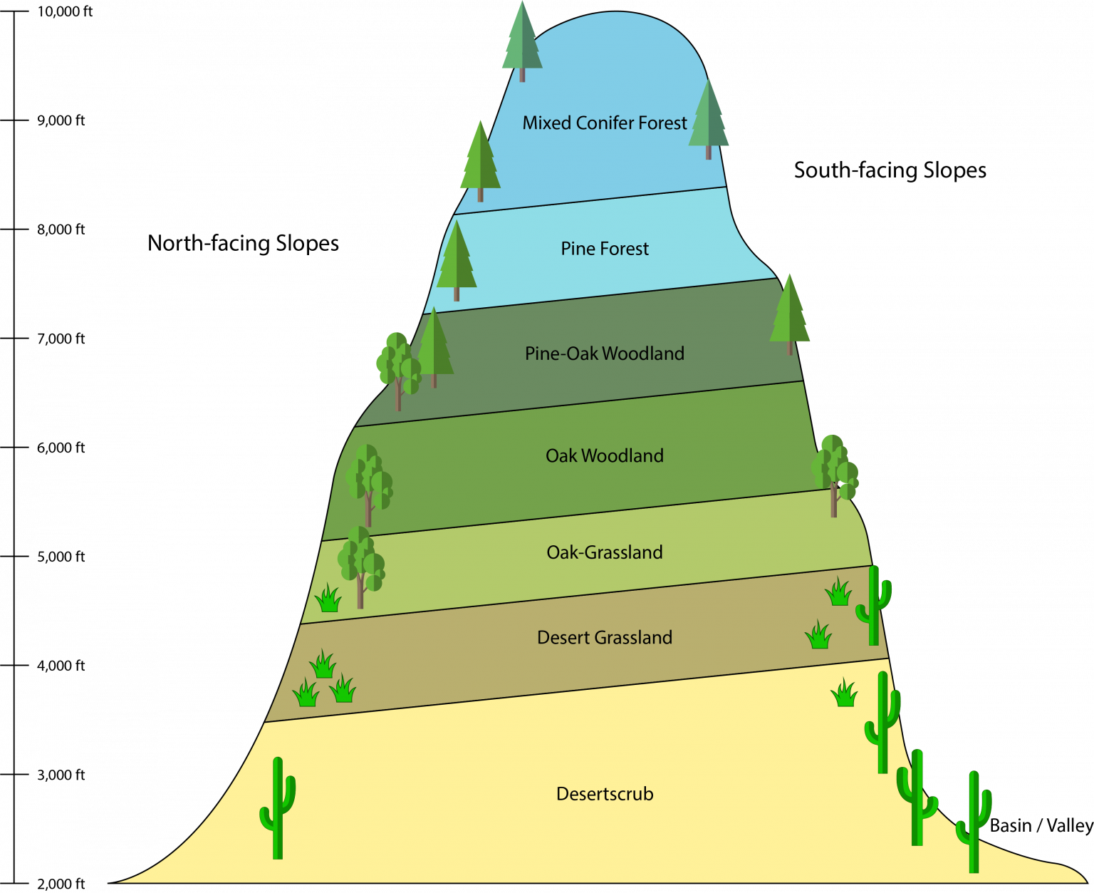 Sonoran Desert Ecosystems – Rangeland Ecosystems Of The Western US