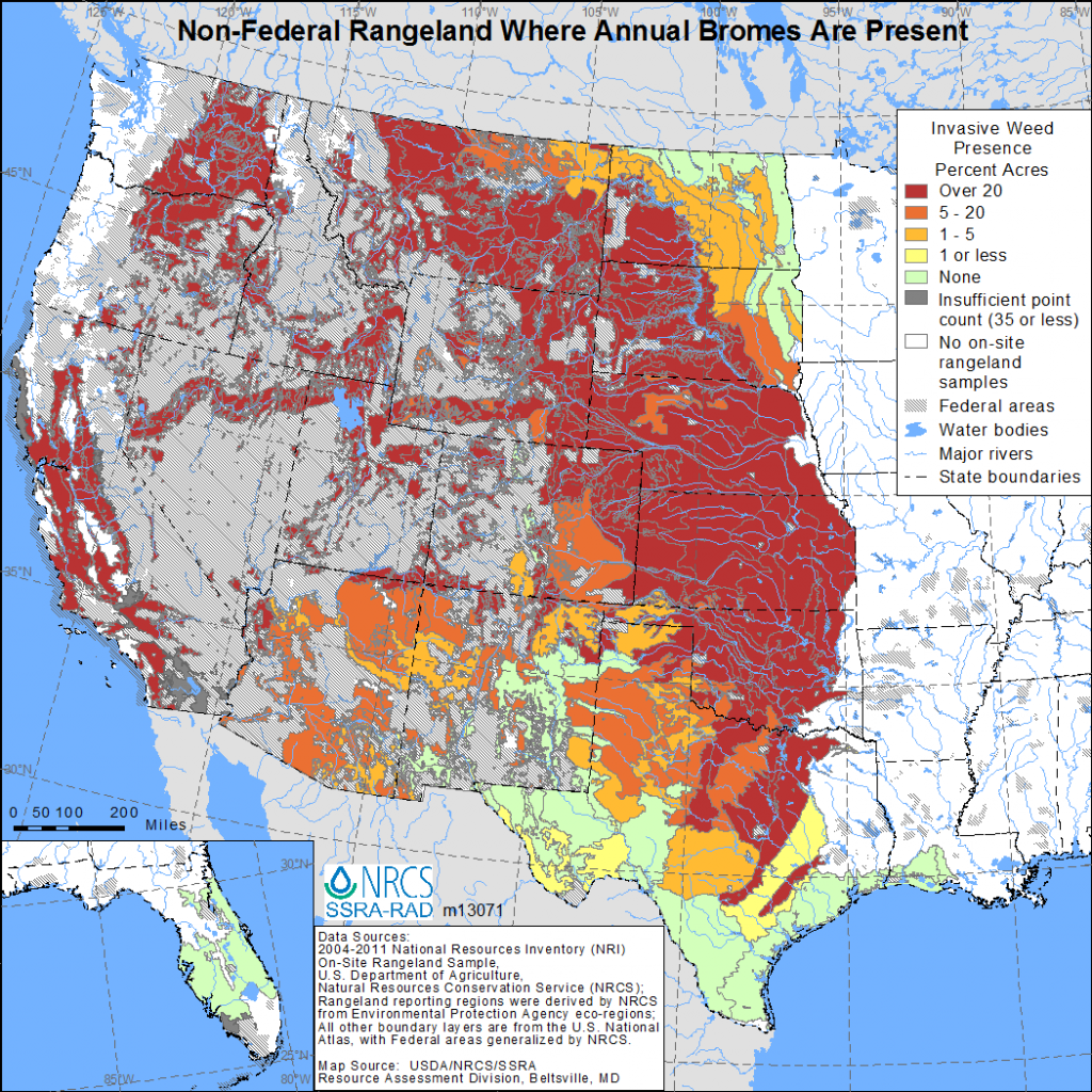 Population Ecology – Rangeland Ecosystems of the Western US