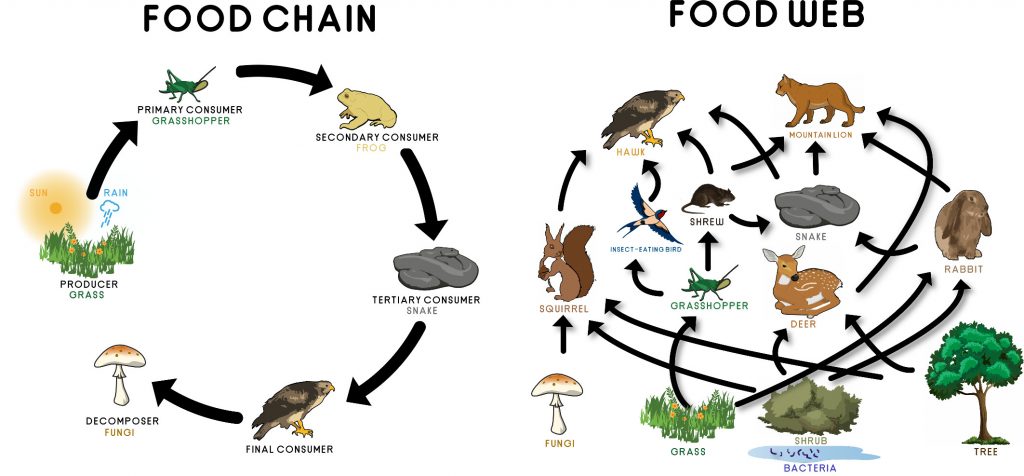 Community Ecology – Rangeland Ecosystems Of The Western US