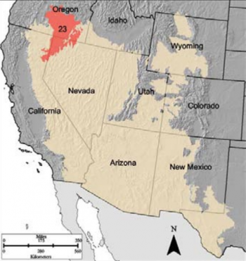 Sagebrush Ecosystems – Rangeland Ecosystems of the Western US