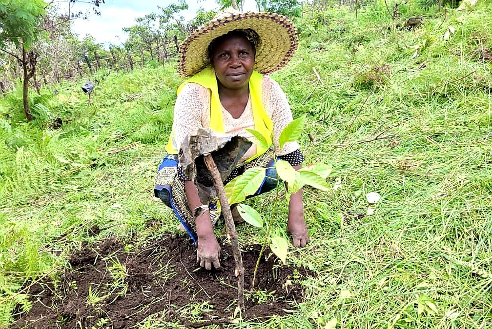 A woman is working the land without power over it.