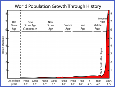 The Origins of Agriculture – History and Science of Cultivated Plants