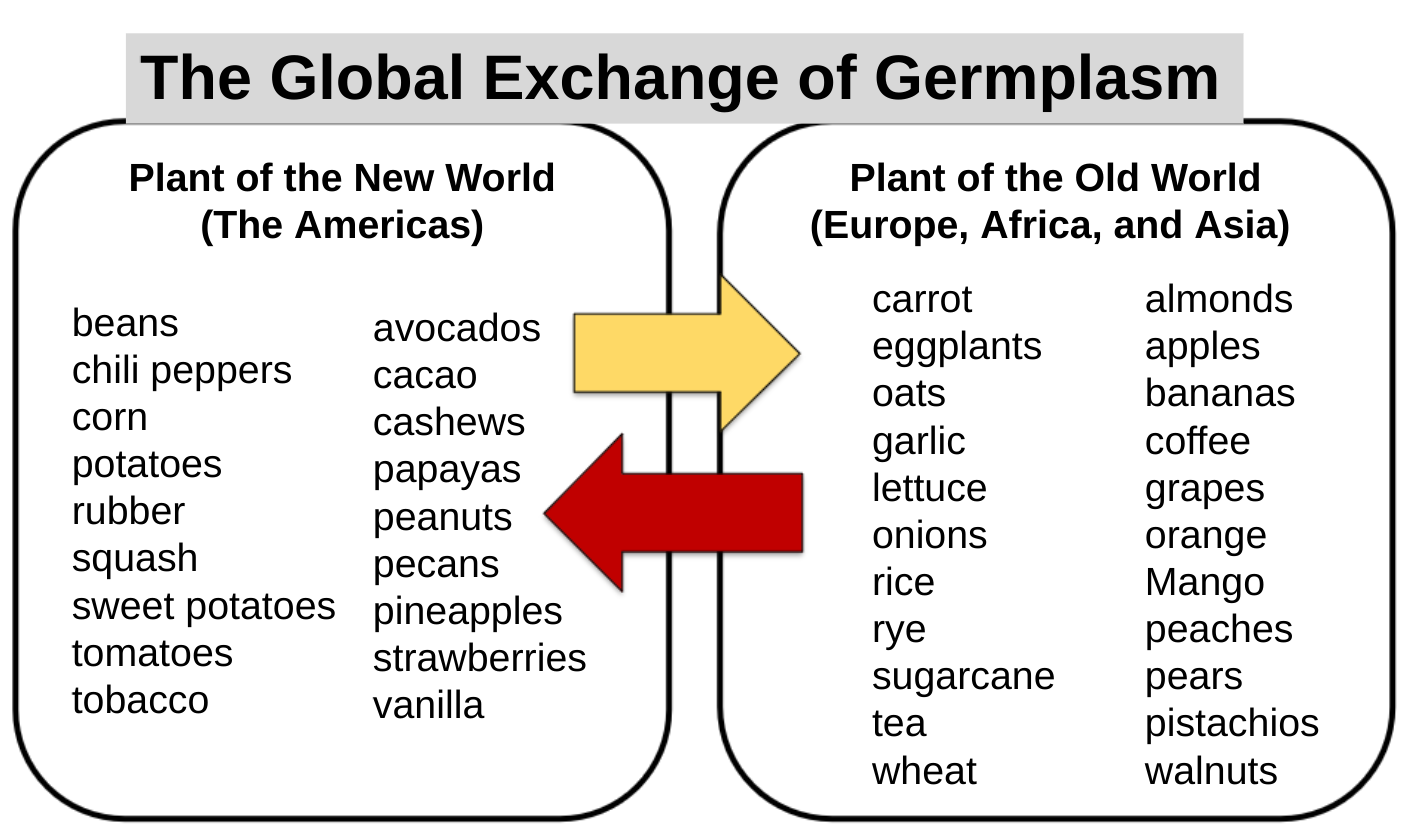 Columbian Exchange Plants