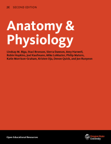 Anatomy &amp; Physiology 2e book cover