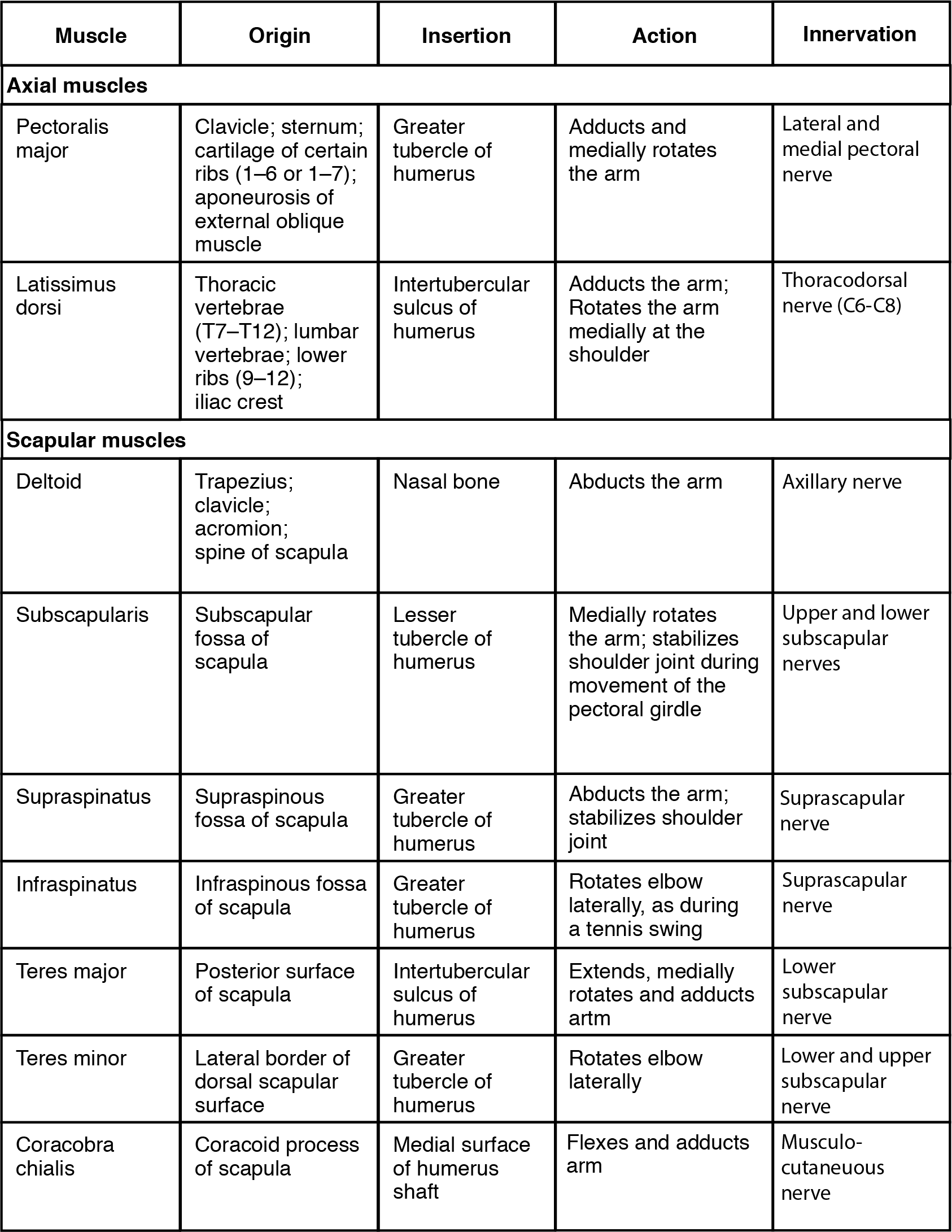 This table describes the muscles that move the humerus. The pectoralis major is an axial muscle that brings the elbows together and moves the elbows up (as during an uppercut punch). It originates in the clavicle, sternum, cartilage of ribs 1 through 6 or 1 through 7, and the aponeurosis of the external oblique muscle. The latissimus dorsi is an axial muscle that moves the elbow back (as in elbowing someone standing behind you) or spreads the elbows apart. It originates in the thoracic vertebrae (T7 through T12), the lower vertebrae, ribs 9 through 12, and the iliac crest. The deltoid is a scapular muscle that lifts arms at the shoulder. It originates in the trapezius, clavicle, acromion, and spine of scapula. The subscapularis is a scapular muscle that assists the pectoralis major in bringing the elbows together and stabilizes the shoulder joint during movement of the pectoral girdle. It originates in the subscapular fossa of the scapula. The supraspinatus is a scapular muscle that rotates the elbow outwards, as during a tennis swing. It originates in the supraspinous fossa of the scapula. The infraspinatus is a scapular muscle that rotates the elbow outwards, as during a tennis swing. It originates in the infraspinous fossa of the scapula. The teres major is a scapular muscle that assists the infraspinatus in rotating the elbow outwards. It originates in the posterior surface of the scapula. The teres minor is a scapular muscle that assists the infraspinatus in rotating the elbow outwards. It originates in the lateral border of the dorsal scapular surface. The coracobra chialis is a scapular muscle that moves the elbow up and across the body, as when putting a hand on the chest. It originates in the coracoid process of the scapula.