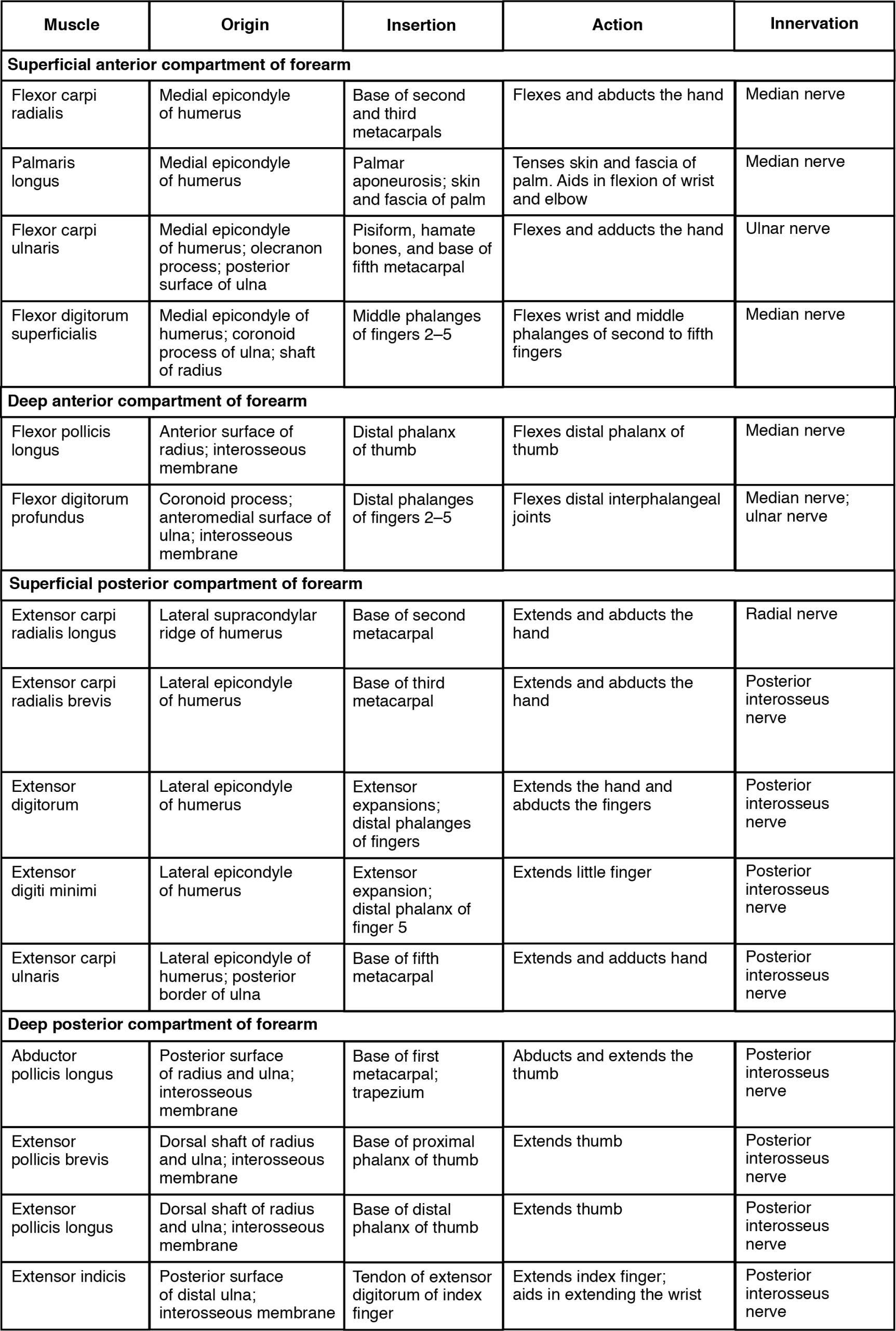 This table describes the muscles that move the wrist, hands, and forearm. These muscles make up the superficial anterior compartment of the forearm. The flexor carpi radialis bends the wrist toward the body; it also tilts the hand to the side away from the body. It originates in the medial epicondyle of the humerus. The palmaris longus assists in bending the hand up toward the shoulder. It originates in the medial epicondyle of the humerus. The flexor carpi ulnaris assists in bending the hand up toward the shoulder; it also tilts the hand to the side away from the body and stabilizes the wrist. It originates in the medial epicondyle of the humerus, the olecranon process, and the posterior surface of the ulna. The flexor digitorum superficialis bends the fingers to make a fist. It originates in the medial epicondyle of the humerus, the coronoid process of the ulna, and the shaft of the radius. These muscles make up the deep anterior compartment of the forearm. The flexor pollicis longus bends the tip of the thumb. It originates in the anterior surface of the radius and the interosseous membrane. The flexor digitorum profundus bends the fingers to make a fist; it also bends the wrist toward the body. It originates in the coronoid process, the anteromedial surface of the ulna, and the interosseous membrane. These muscles make up the superficial posterior compartment of the forearm. The extensor radialis longus straightens the wrist away from the body; it also tilts the hand to the side away from the body. It originates in the lateral supracondylar ridge of the humerus. The extensor carpi radialis brevis assists the extensor radialis longus in extending and abducting the wrist; it also stabilizes the hand during finger flexion. It originates in the lateral epicondyle of the humerus. The extensor digitorum opens the fingers and moves them sideways away from the body. It originates in the lateral epicondyle of the humerus. The extensor digiti minimi extends the little finger. It originates in the lateral epicondyle of the humerus. The extensor carpi ulnaris straightens the wrist away from the body; it also tilts the hand to the side toward the body. It originates in the lateral epicondyle of the humerus and the posterior of the ulna. These muscles make up the deep posterior compartment of the forearm. The abductor pollicis longus moves the thumb sideways toward the body; it also extends the thumb and moves the hand sideways toward the body. It originates in the posterior surface of the radius and ulna and in the interosseous membrane. The extensor pollicis brevis extends the thumb. It originates in the dorsal shaft of the radius and ulna and in the interosseous membrane. The extensor pollicis longus extends the thumb. It originates in the dorsal shaft of the radius and ulna and in the interosseous membrane. The extensor indicis extends the index finger; it also straightens the wrist away from the body. It originates in the posterior surface of the distal ulna and in the interosseous membrane.