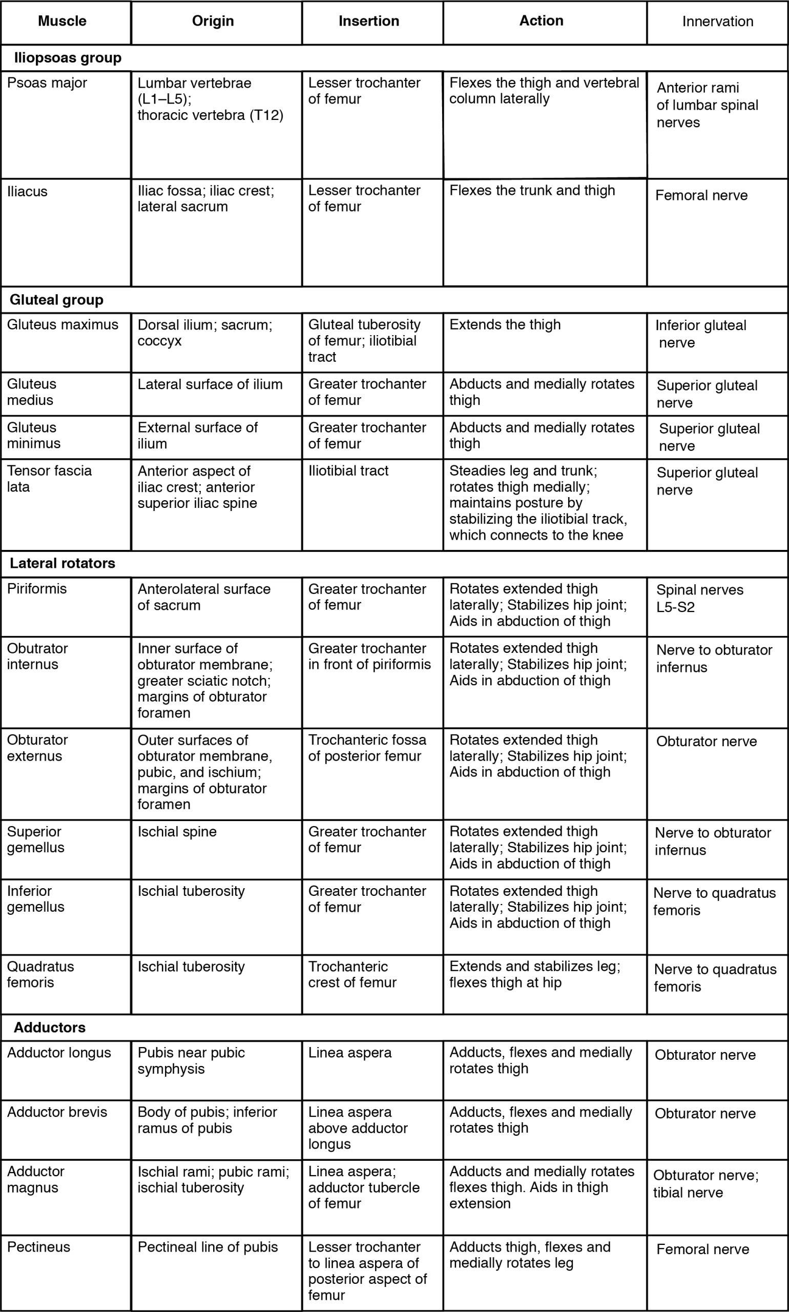 This table describes gluteal region muscles that move the femur. These muscles make up the iliopsoas group. The psoas major raises the knee at the hip, as if performing a knee attack; it also assists the lateral rotators in twisting the thigh (and lower leg) outward, and assists with bending over and maintaining posture. It originates in the lumbar vertebrae (L1 through L5) and thoracic vertebra (T12). The iliacus raises the knee at the hip, as if performing a knee attack; it also assists the lateral rotators in twisting the thigh (and lower leg) outward, and assists with bending over and maintaining posture. It originates in the iliac fossa, iliac crest, and lateral sacrum. These muscles make up the gluteal group. The gluteous maximus lowers the knee and moves the thigh back, as when getting ready to kick a ball. It originates in the dorsal ilium, sacrum, and coccyx. The gluteus medius opens the thigh, as when doing a split. It originates in the lateral surface of the ilium. The gluteus minimus brings the thighs back together. It originates in the external surface of the ilium. The tensor fascia lata assists with raising the knee at the hip and opening the thighs; it also maintains posture by stabilizing the iliotibial track, which connects to the knee. It originates in the anterior aspect of the iliac crest and the anterior superior iliac spine. These muscles make up the lateral rotators. The piriformis twists the thigh (and lower leg) outward; it also maintains posture by stabilizing the hip joint. It originates in the anterolateral surface of the sacrum. The obturator internus twists the thigh (and lower leg) outward; it also maintains posture by stabilizing the hip joint. It originates in the inner surface of the obturator membrane, the greater sciatic notch, and the margins of the obturator foramen. The superior gemellus twists the thigh (and lower leg) outward; it also maintains posture by stabilizing the hip joint. It originates in the ischial spine. The inferior gemellus twists the thigh (and lower leg) outward; it also maintains posture by stabilizing the hip joint. It originates in the ischial tuberosity. The quatratus femoris twists the thigh (and lower leg) outward; it also maints posture by stabilizing the hip joint. It originates in the ischial tuberosity. These muscles are adductors. The adductor longus brings the thighs back together; it also assists with raising the knee. It originates in the pubis near the pubic symphysis. The adductor brevis brings the thighs back together; it also assists with raising the knee. It originates in teh body of the pubis and in the inferior ramus of the pubis. The adductor magnus brings the thighs back together; it also assists with raising the knee and moving the thigh back. It originates in the ischial rami, the pubic rami, and the ischial tuberosity. The pectineus opens the thigh; it also assists with raising the knee and turning the thigh (and lower leg) inward. It originates in the pectineal line of the pubis.