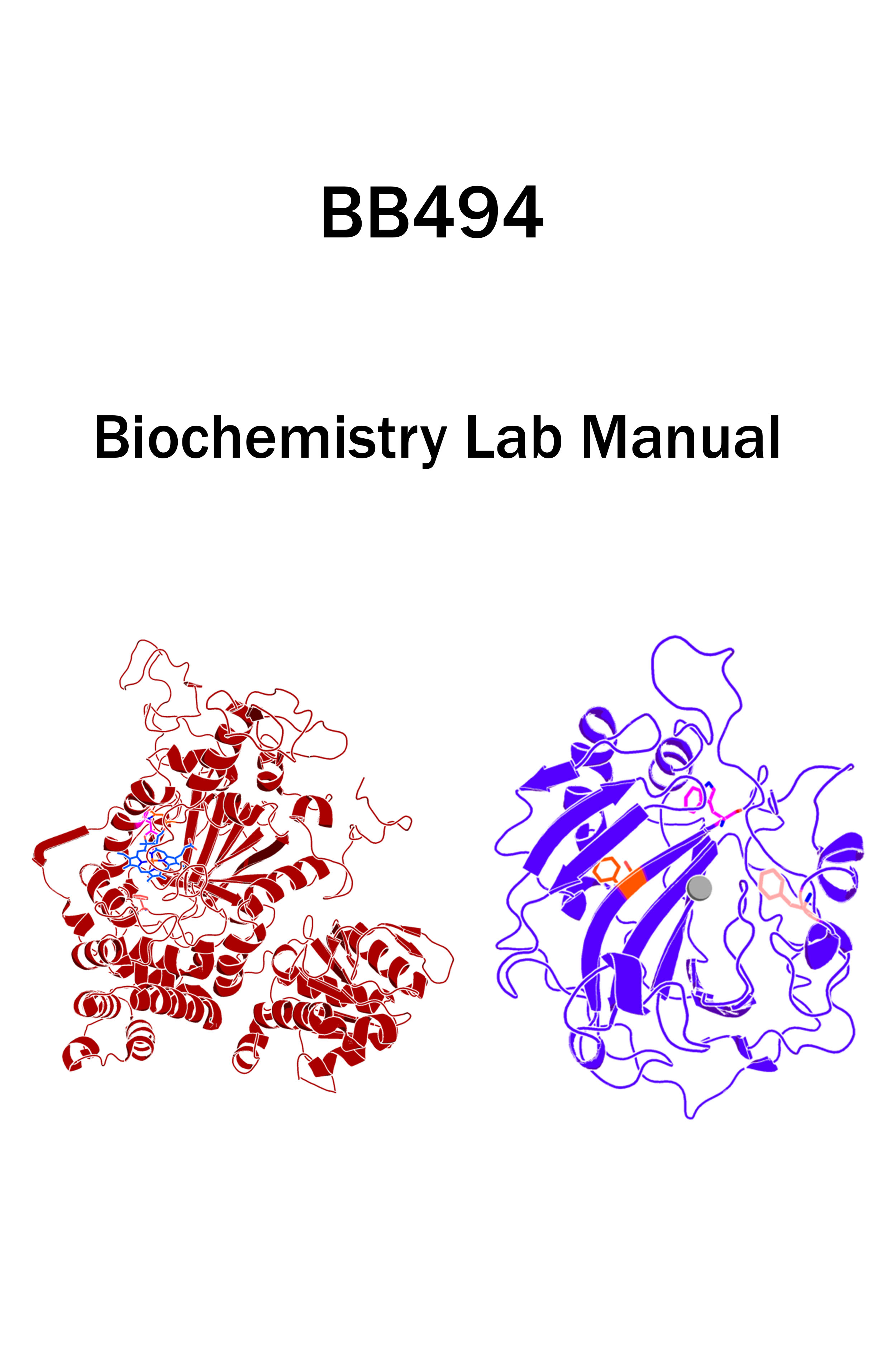 洋書 Biochemistry Flash Cards 洋書 Biochemistry Flash Cards Lippincott Illustrated Reviews