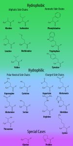 Background – Chemical Biology & Biochemistry Laboratory Using Genetic