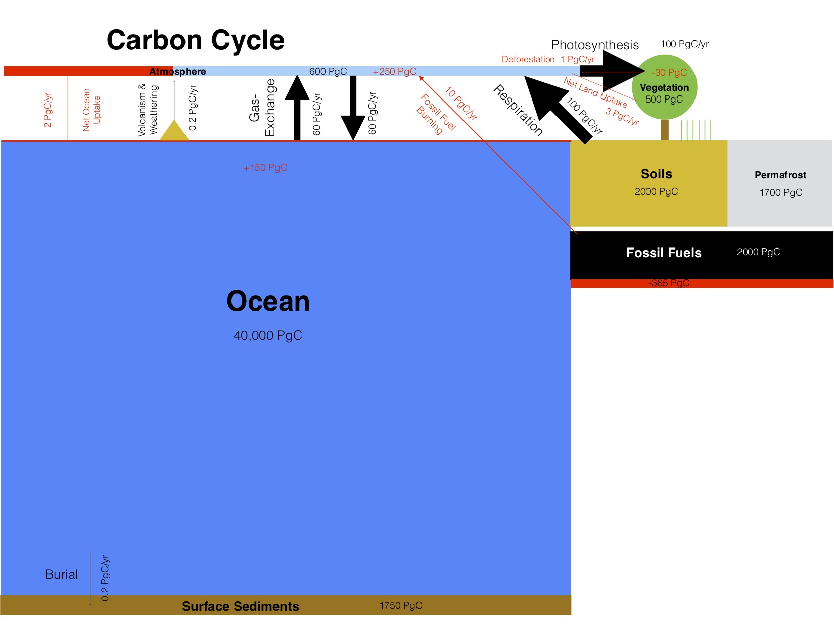 his figure of the global carbon cycle uses the same numbers as Fig. 1 but shows box sizes proportional to the size of the respective carbon reservoir. Red colors indicate human perturbations. Arrows are also proportional to the size of the fluxes, except for the small fluxes of sediment burial, volcanism and weathering, net ocean and land uptake and deforestation because those arrows would be hardly visible if drawn to scale. Based on Fig. 6.1 in IPCC (2013).