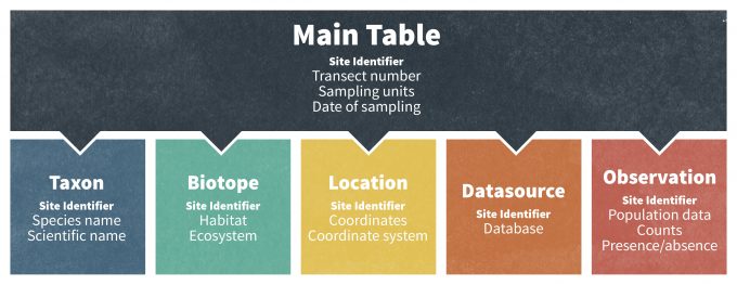 Figure 10.2. A relational database management system combines data from several different databases. These databases are typically linked by a standard unique identifier, in this case a site identity number, which allows a user to extract data from multiple data sets.