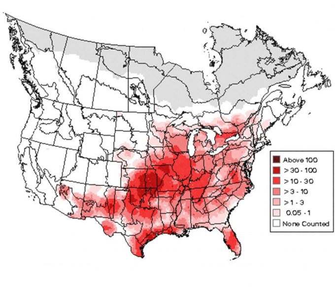 Figure 2.2. Abundance map for the Eastern Meadowlark based on Breeding Bird Survey data collected between the summers of 1994 – 2003.