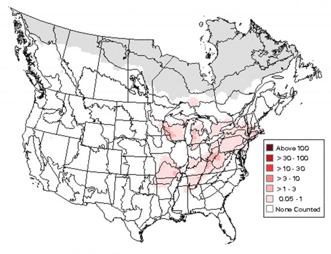Figure 4.5. Distribution of Blue-winged Warblers in the U.S. and Canada (from Sauer et al. 2006).