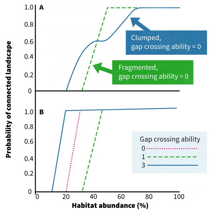 Figure 4.6. Theoretical connectivity for two types of fragmented landscapes (A) and three species with differing gap-crossing abilities (B) (redrafted from With 1999).