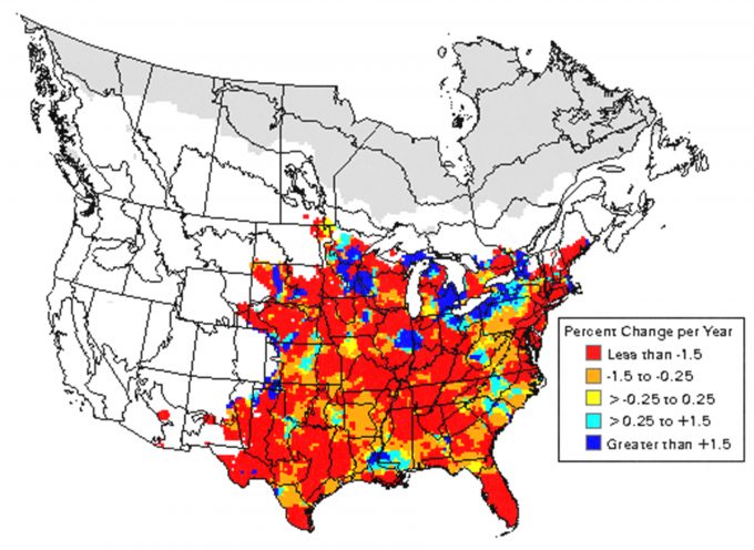 Figure 5.7. Changes in abundance of yellow-billed cuckoos over time varies from one portion of its geographic range to another (from Sauer et al. 2001). Care should be given to ensure that the data relate to the scope of inference of the monitoring plan that is being developed. Local trends may be informative, while regional trends may not; if your area of interest were in Louisiana, then national trends would be misleading.