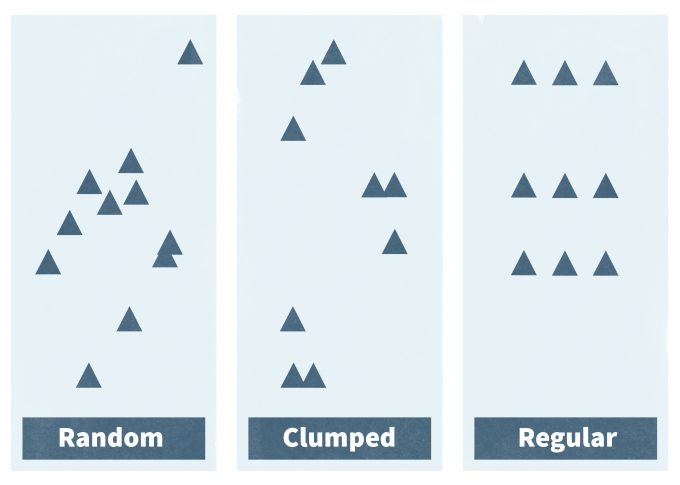 Figure 6.3. The three basic spatial patterns found in populations are random, clumped, and regular.