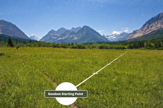 Figure 7.1. Systematic sampling scheme using a random starting place and random compass bearing to establish a transect with systematically arranged sample points along the transect.