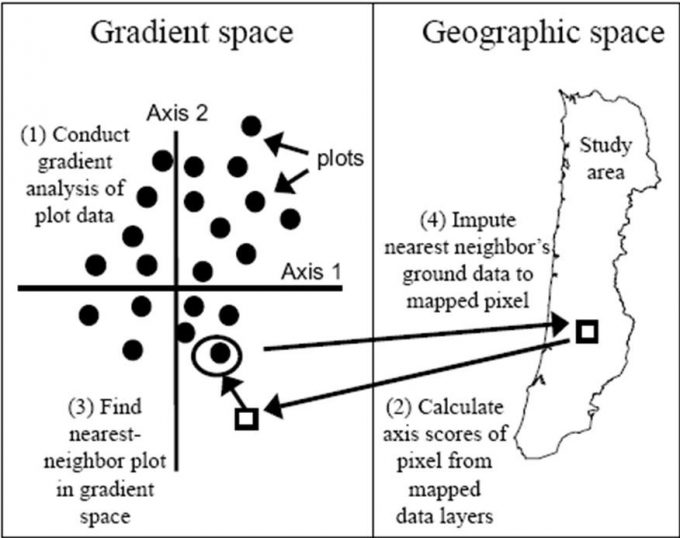 Figure 9.11. An example of applying habitat suitability models to an ecoregion using GNN-based data from the Oregon Coast Range and projecting habitat change 100 years into the future for northern spotted owls (SPOW), marbled murrelets (MAMU, red tree voles (RTVL), low mobility lichens (LMLI), olive-sided flycatchers (OSFL) and western bluebirds (WEBL). From Spies et al. (2007) and used with permission from T. Spies.