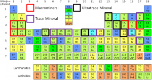 Micronutrients Overview & Dietary Reference Intakes (DRIs) – Human ...