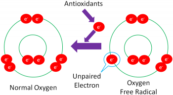 Antioxidant Micronutrients – Human Nutrition