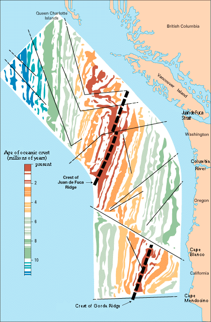 Magnetization map of Cascadia