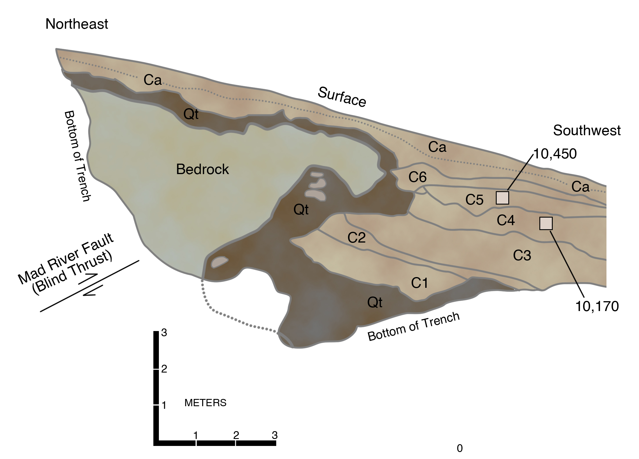 Log of side of backhoe trench across a scarp of the Mad River Thrust Fault at McKinleyville, California, showing how bedrock has been thrust over sediments that are radiocarbon dated at about ten thousand years