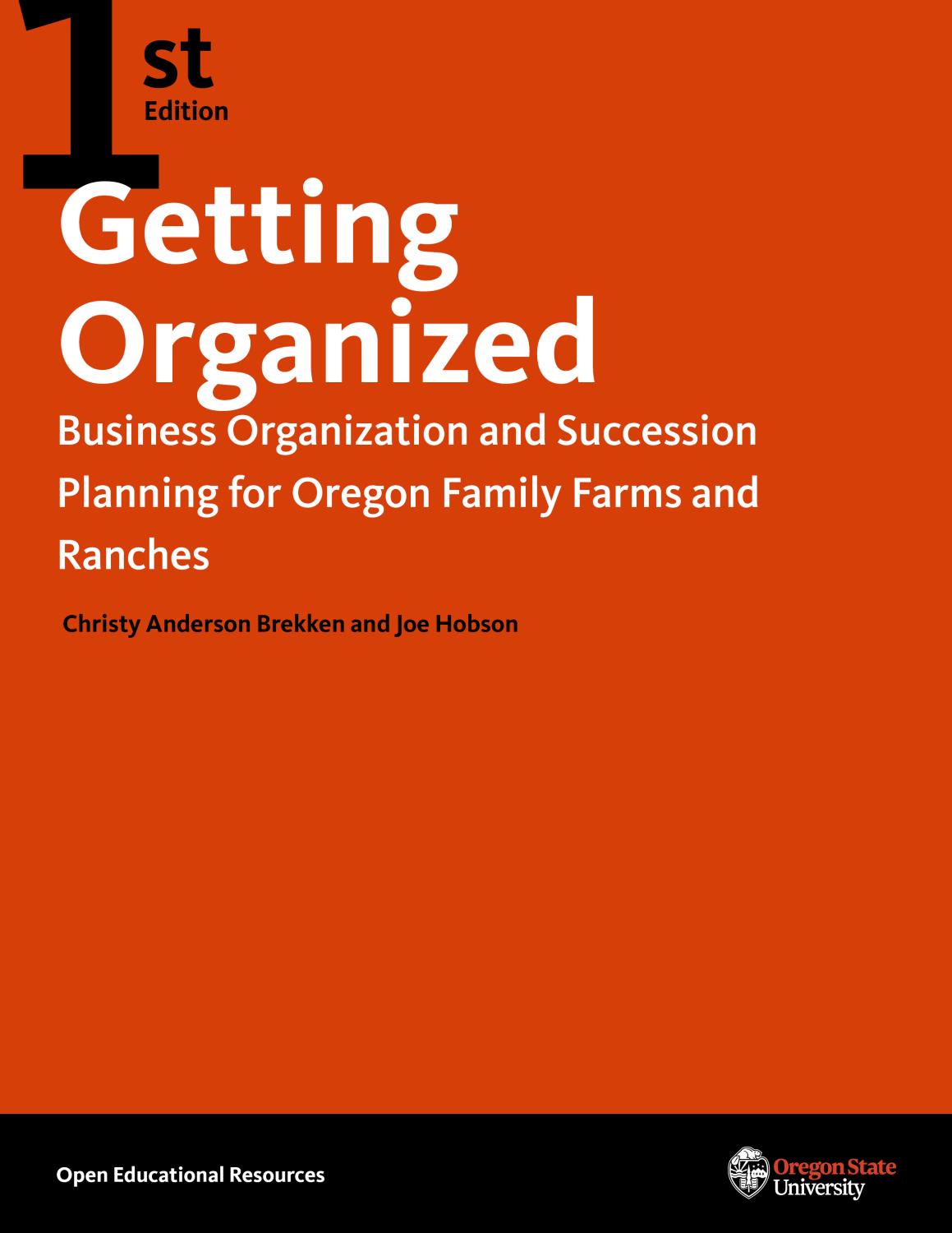 Cover image for Getting Organized