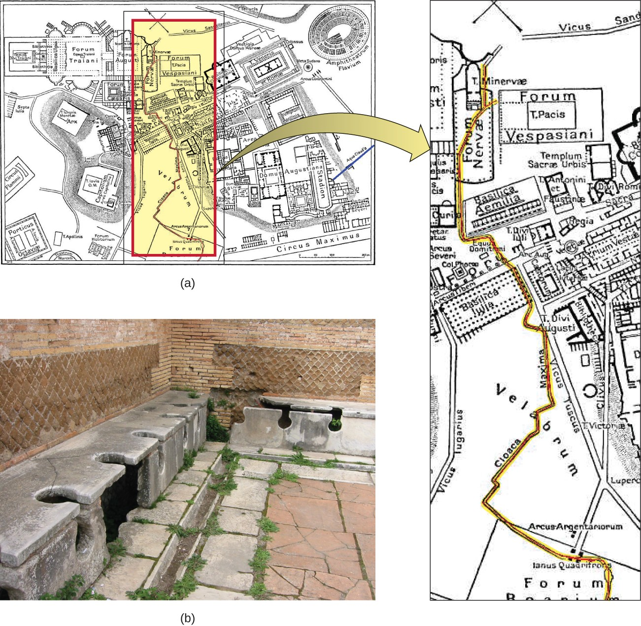 (a) The Cloaca Maxima, or “Greatest Sewer” (shown in red), ran through ancient Rome. It was an engineering marvel that carried waste away from the city and into the river Tiber. (b) These ancient latrines emptied into the Cloaca Maxima.